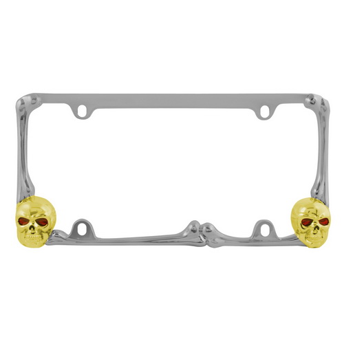 License Frame and Plate
